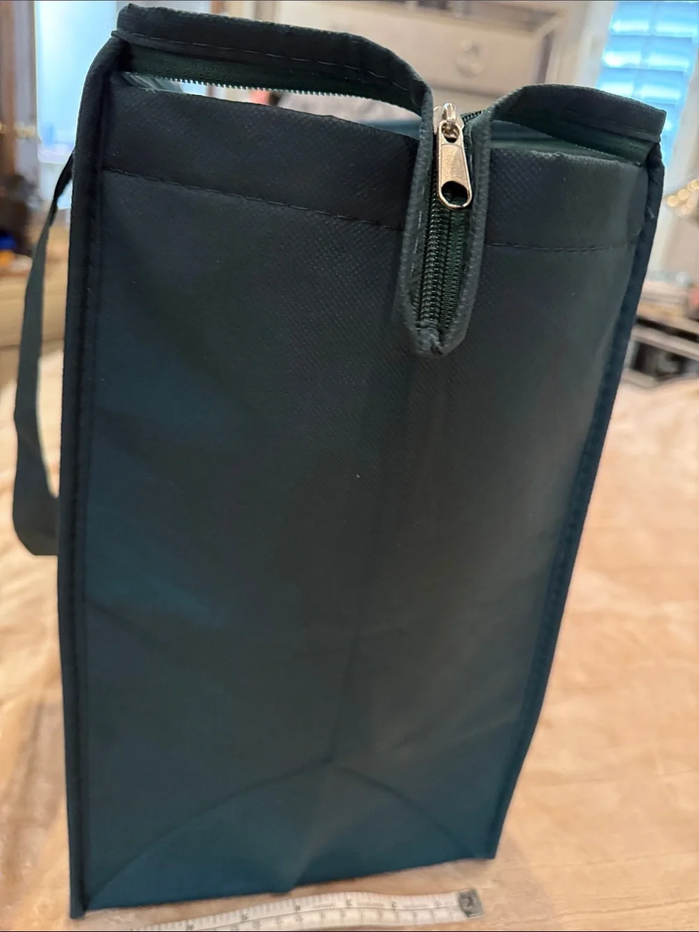 BRAND NEW. Insulated Green Dog Treat Tote - Long Live Dogs. The Farmer’s Dog.